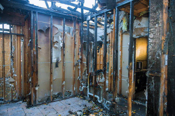 Professional Fire Damage Removal technician working in Country Knolls, NY